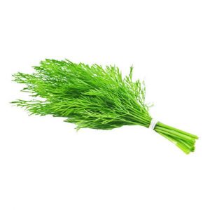 Dill 100gm