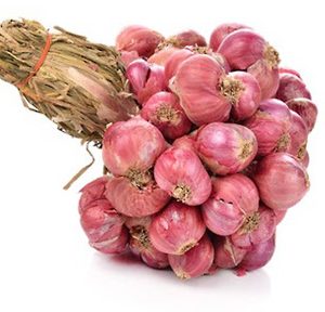 Thai Shallot