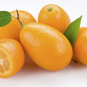 Kumquat