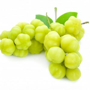 Star Gooseberry