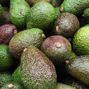 Avocado