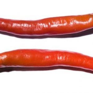 Red Long Pepper