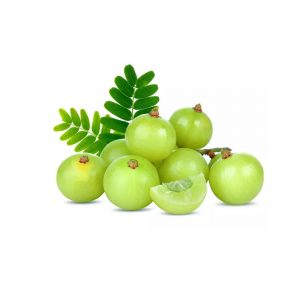 Gooseberry (Amla)