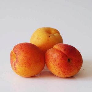 Apricot