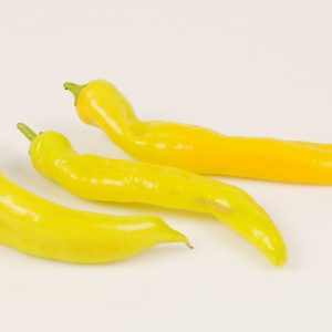 Yellow Long Pepper