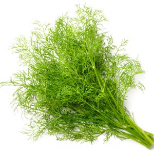 Dill