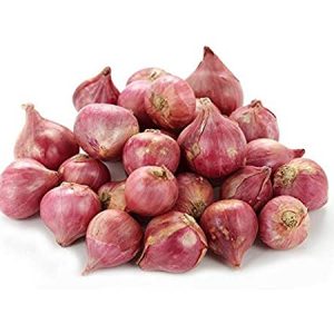 Shallot Onion