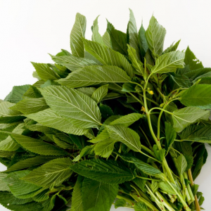Molokhia Leaves