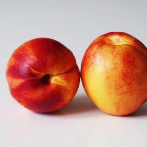 Nectarine