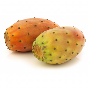 Prickly Pear