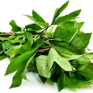 Gongura Leaves