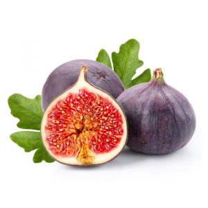 Fig
