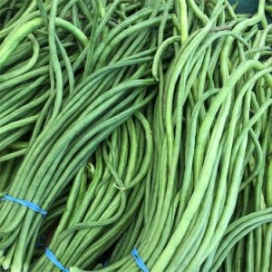 String Beans Dominican