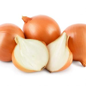 Holland Onion White