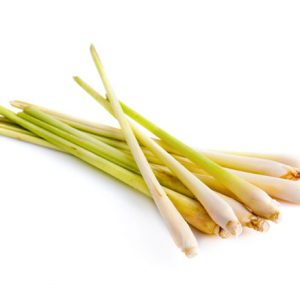 Lemon Grass