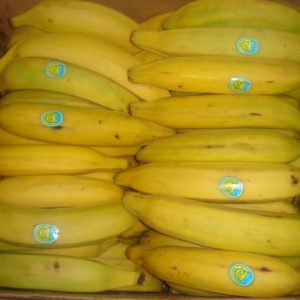 Plantain Yellow