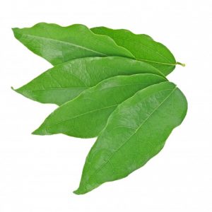 Yanang Leaf