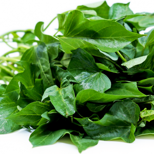 Sweet Potato Leaf