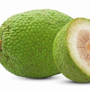 Bread Fruit