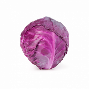 Cabbage Red