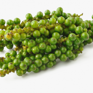 Green Peppercorn