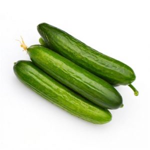 Holland Cucumber