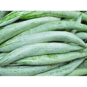 Snake Gourd