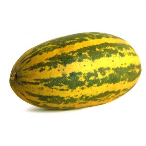 Indian Cucumber